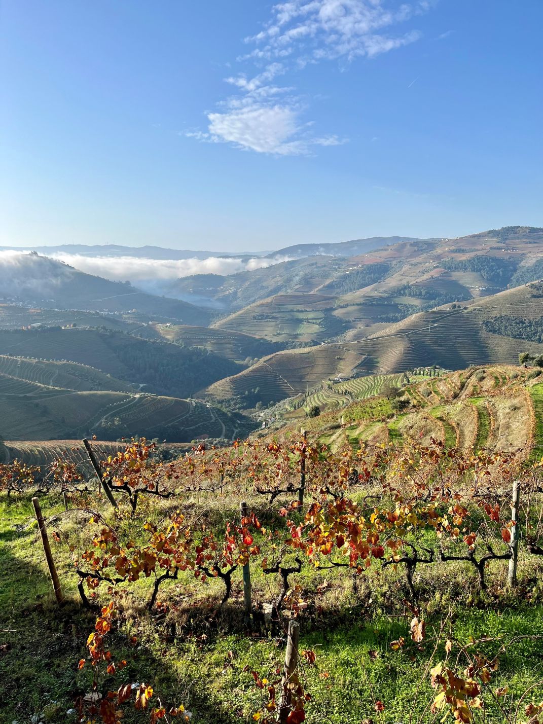 douro fernsicht
